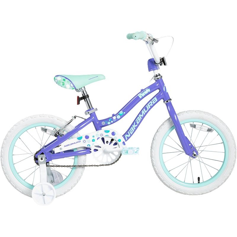 Dream 16″ Bike PURPLE 16″