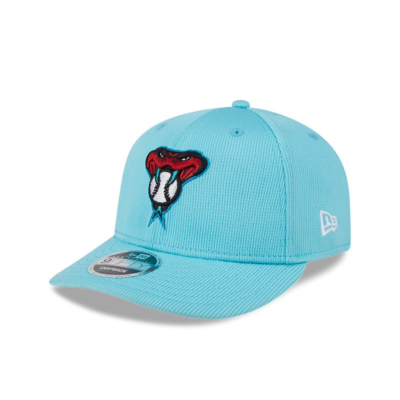 Arizona Diamondbacks 2024 Spring Taining Low Profile 9Fifty Snapback Hat OS