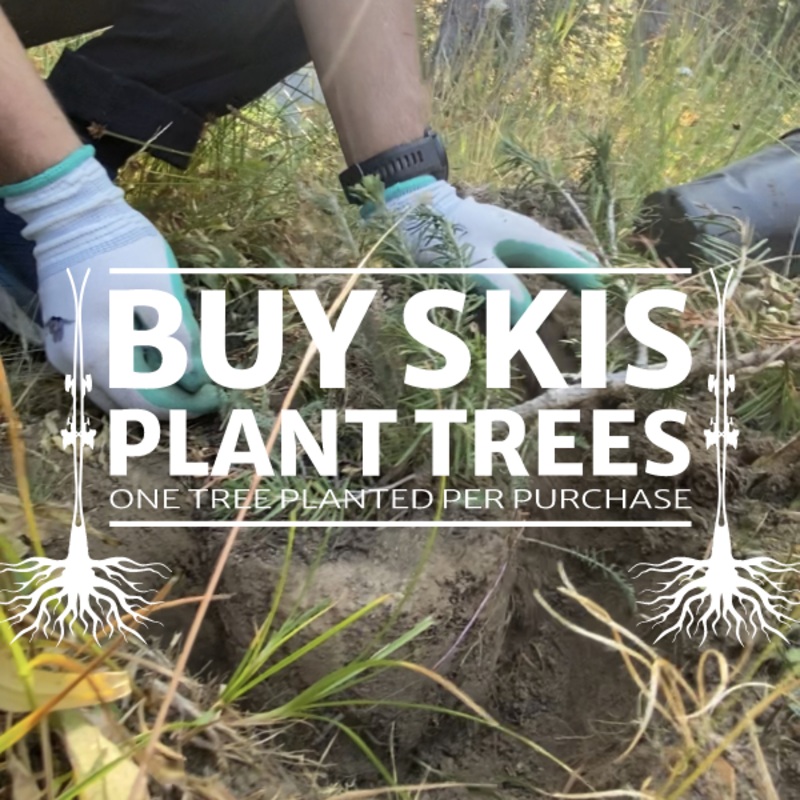 Earth Day Tree Donation – 25 Trees